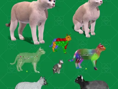 American Shorthair Cat Low-poly 3D model