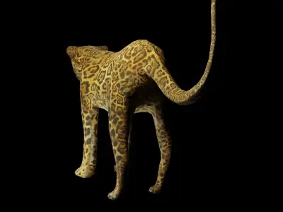 leopard Low-poly 3D model