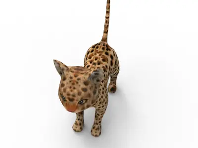 3d Pet Cat low poly game ready  Low-poly 3D model