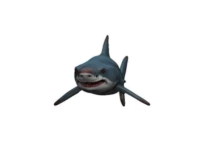 Shark Low-poly 3D model 48