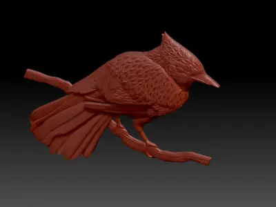 Woodpecker Bird 3D print model