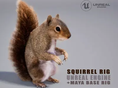 Squirrel Rig UNREAL project  Maya base rig 3D model