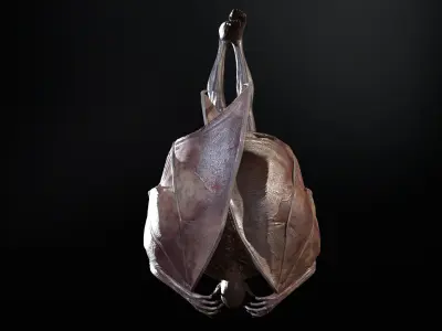 Vampire Low-poly 3D model