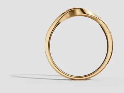 Mens ring 3D print model