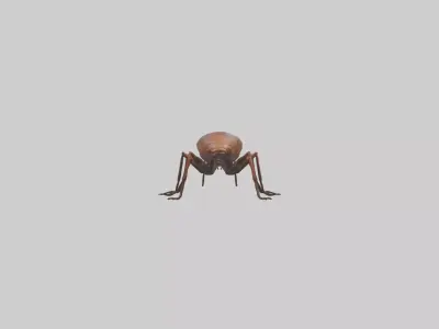 Centipede crawling model 3D model