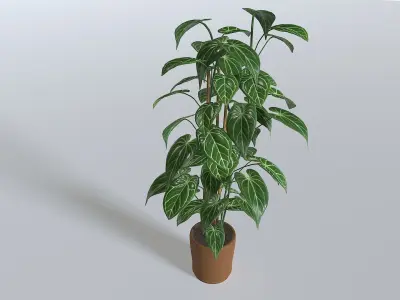 Pot Tropical Plant 1 Low-poly 3D model