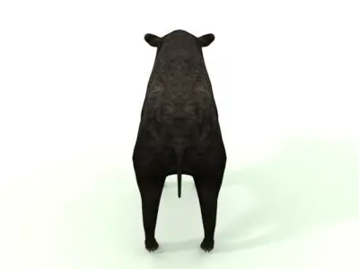 Wild Pig Low-poly 3D model