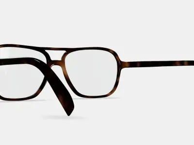 Carrick Eyeglasses in Cognac Tortoise 3D model