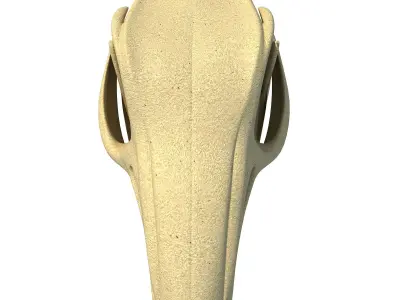Rabbit Skull 3D model