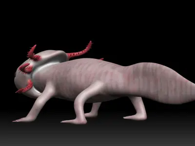 Axolotl arachnid Low-poly 3D model