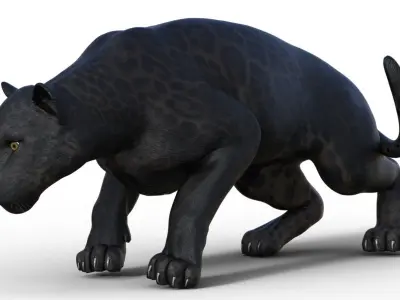 Panter panther 3D model