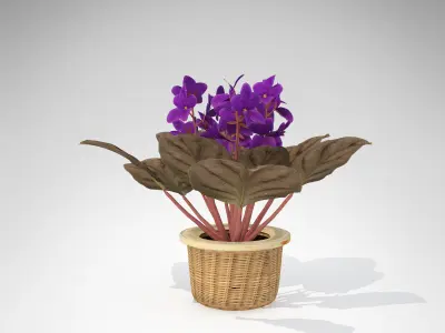 XfrogPlants African Violet 3D model
