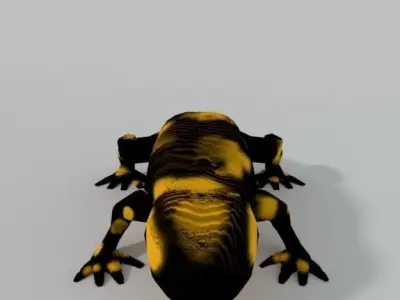 Salamander gecko Low-poly 3D model