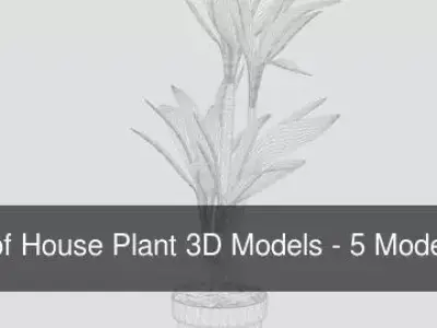 Collection-4 of House Plant 3D Models - 5 Models
