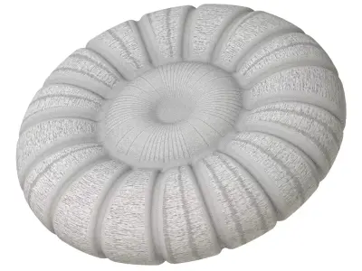 Exquisite Round Pillow 3D print model
