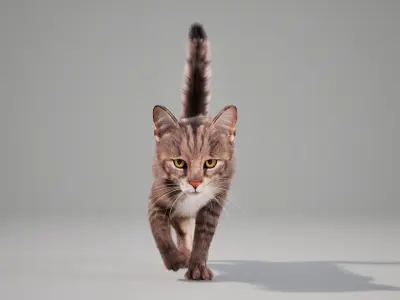 Cat Grey Tabby Animated UNREAL project  Maya base rig 3D model