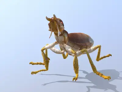 BEETLE Bug Howling Fbx Png 3D model