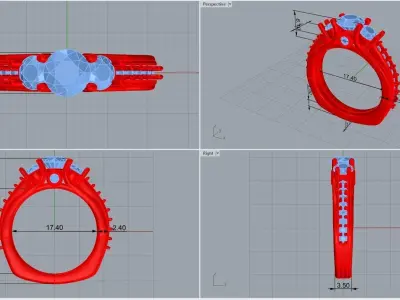  ring code 250 3D print model