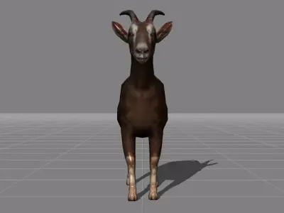 Goat v1 Low-poly 3D model