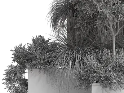 Plants collection 770 3D model