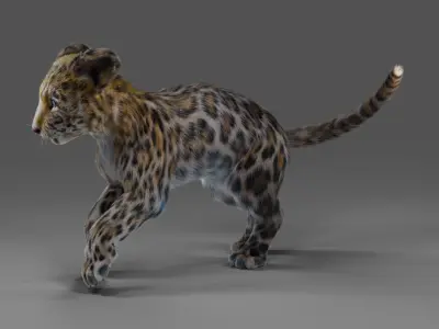 Fur Baby Jaguar Rigged in Blender Low-poly 3D model