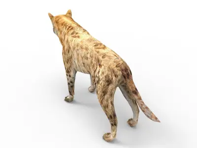 3D wild Hyena Rigged  Low-poly 3D model