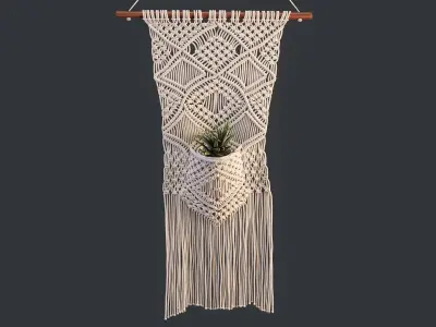 Macrame with Succulent Plant 3D model