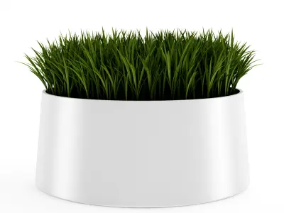 Decorative Grass 3D model