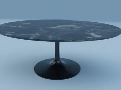 Saarinen Low Oval Coffee Table 3D model