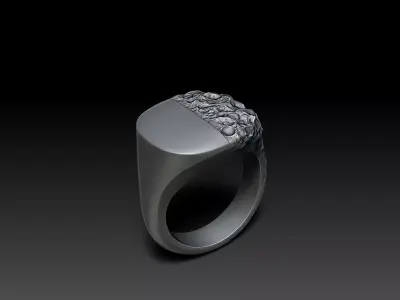 Signet Ring Sculptural Jewelry Design 3D print model