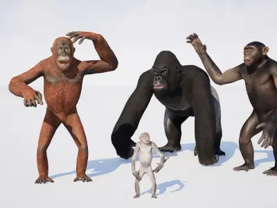 Monkeys 3D model