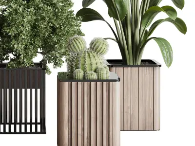 stand plant box  collection Indoor plant 242 wooden 3D model