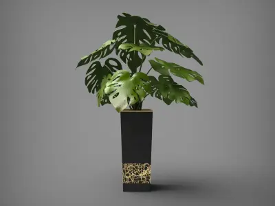 Monstera Deliciosa 2 Black Vase 3D model
