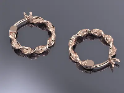 Jewelry Earrings Gold PK-54 3D print model