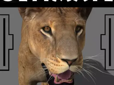 The Ultimate Lioness - 3d model 3D model
