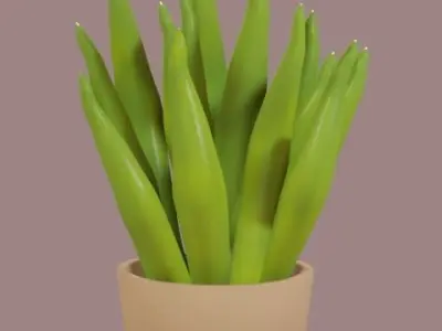 Cute Cartoon Houseplant Pack Low-poly 3D model