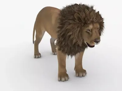 Realistic Scan Lion 3D model