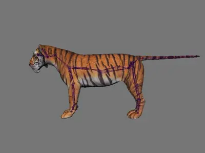 ultimate tiger rigged 3D model