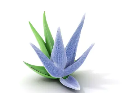 Green Aloe Vera model pack Low-poly 3D model