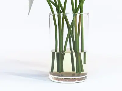 White elegent flowers in a glass vase 3D model
