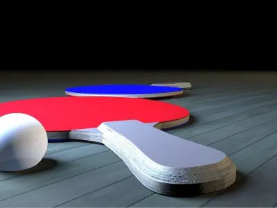 Ping Pong Paddle 3D model
