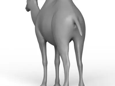 Camel Base Mesh Low-poly 3D model purchase