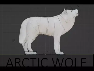 Arctic Wolf Low-poly 3D model