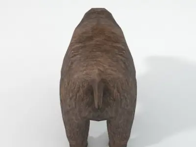 Grizzly bear Low-poly 3D model