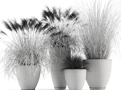 Decorative Cereals in Planters 3D model