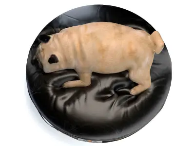 Fat dog 3D model