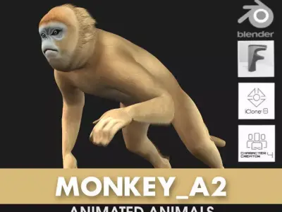 Monkey-A2 3D model