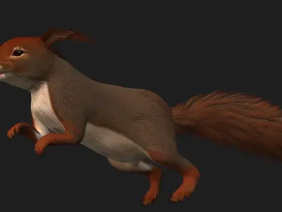 Squirrel-V1E 3D model