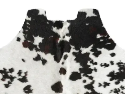 Black and White Cowhide Rug B6159 3D model