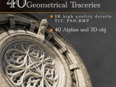 Gothic Ornaments VOL02 40 Geometrical Tracery 3D model